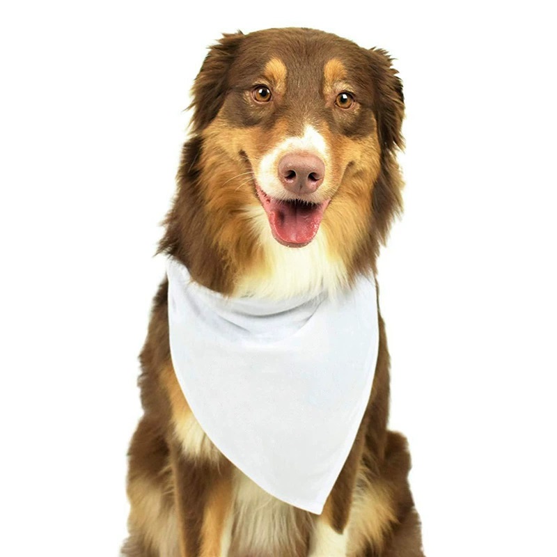 30pcs White Polyester Blank Do - Bandana Blank White recensie en prijs