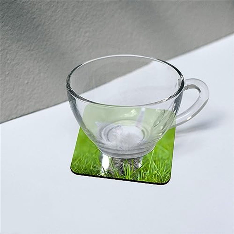 ABGE-40 PCS Sublimation Coaste - Coaster Sublimation Blank recensie en prijs